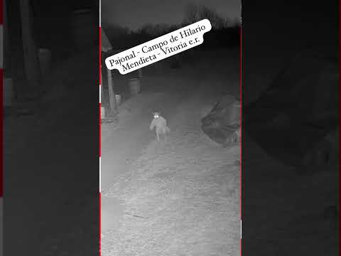 Extraterrestres en Victoria Entre Rios.