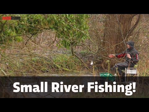 Small River Fishing - Dace, chub and roach!