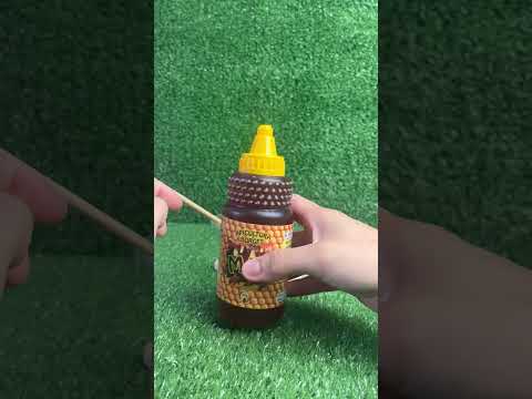 Vídeo Apicultura Borges