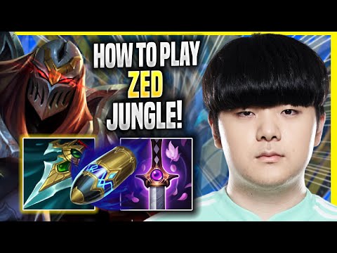 LEARN HOW TO PLAY ZED JUNGLE LIKE A PRO! - DK Canyon Plays Zed JUNGLE vs Lee Sin! | Season 2022