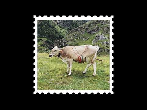 The Shadows Of Lonely Men