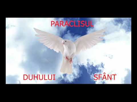 Paraclisul - DUHULUI SFANT - slujitor Dani