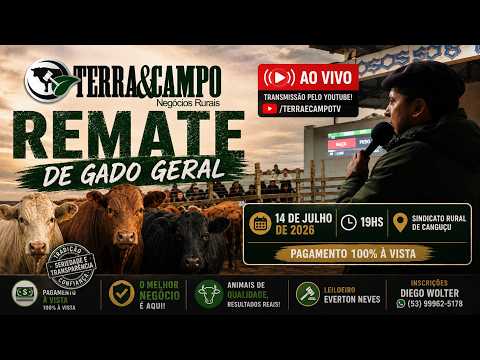 REMATE  DE GADO GERAL | CANGUÇU | TERRA&CAMPO NEGÓCIOS RURAIS.