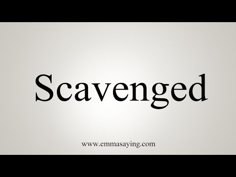 How To Say Scavenged