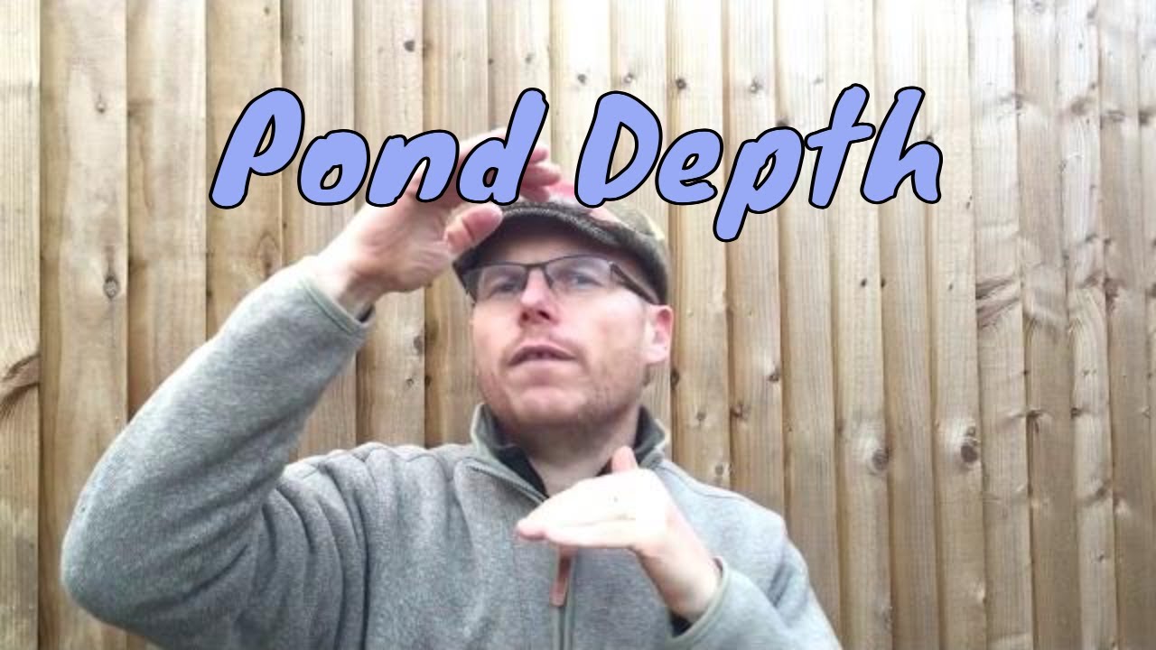 How deep does a pond need to be? - Garden Pond Depth