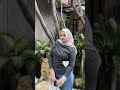 Dinarsaurs Ukhty Jilboobs Pemersatubangsa Fyp Hijabers Jilbabketat Outfitideas Outfit Fakebodyy