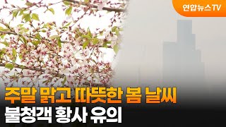 [토요와이드] 주말 맑고 따뜻한 봄 날씨…불청객 황사 유의 / 연합뉴스TV (YonhapnewsTV)