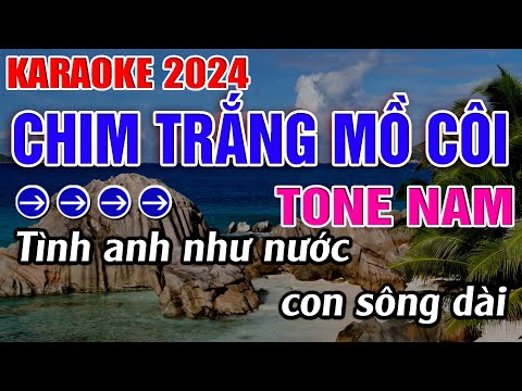 Chim Trắng Mồ Côi Karaoke Tone Nam Karaoke Đăng Khôi - Beat Mới