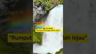 Download lagu 🗣P3L4K0R Laki Orang Lebih Hijau🤮 Batu Kali Dan Berlian Upiak mp3 Download lagu 🗣P3L4K0R Laki Orang Lebih Hijau🤮 Batu Kali Dan Berlian Upiak mp3