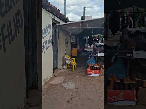 ananás Tocantins