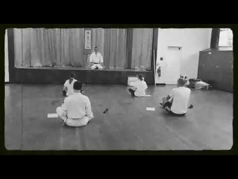 Shorinji kempo howa and chinkon