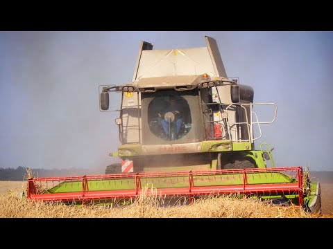 🌾 CLAAS LEXION 560 + FENDT FAVORIT harvest  Action (Barley, Wheat, Canola)