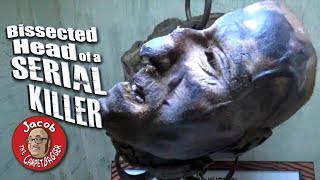 Bissected Head of a Serial Killer at Ripley&#39;s Believe it or Not WIsconsin Dells
