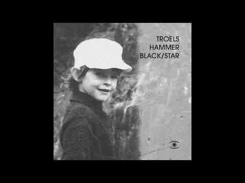 Troels Hammer feat. Reinhard Vanbergen - Black/Star - s0427