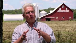 Ohio Hog Farm - America&#39;s Heartland