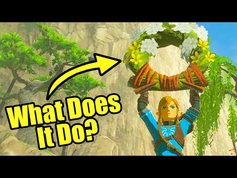 Secret Use of the Ring Garland - Zelda Tears of the Kingdom