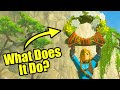 Secret Use of the Ring Garland - Zelda Tears of the Kingdom