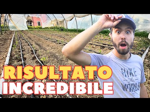 Soft, WEED-FREE soil without doing anything