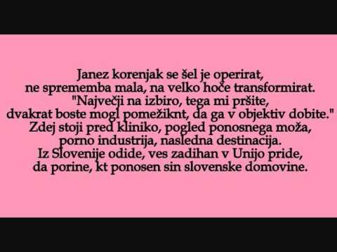 Rok Trkaj - Janezek (Lyrics)