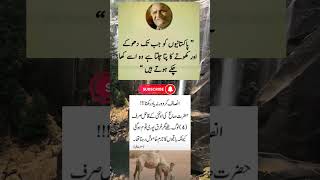 Great People’s Quotes That Will Change Your Life ✨#inspiration #motivation#lifelessons#shorts