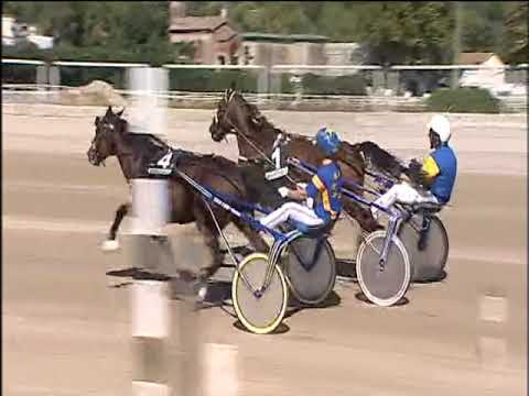 Trotto 20/09/2019 - 1ª corsa