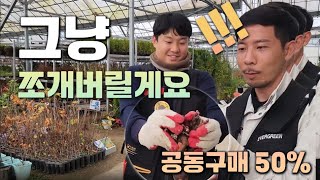 한번 배워놓으면 평생 써먹는 작약 번식법! 50% 저렴한 공동구매까지 ! 놓치지 마세요 !! [JB가든센터_…