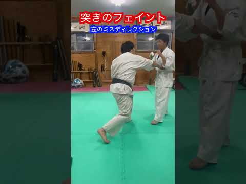【武道・格闘技】突きのフェイント　各種！！　#aikido ＃karate #martial #合気道 #武道 #空手＃筋トレ＃腕立て＃push-up