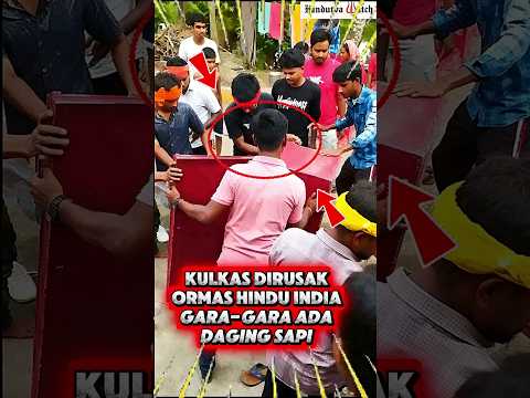 KULKAS DIRUSAK GARA-GARA SAPI