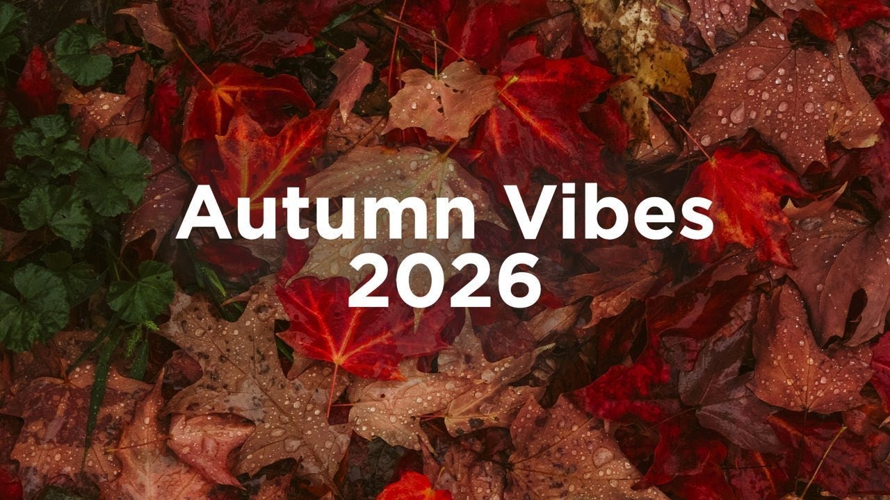 Full width video banner block