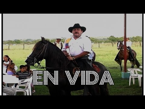 Discos El Dorado - Dario Dario - En Vida HD