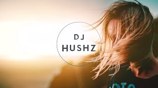 DJ HushZ - Show Me Love ft. Alicia Keys, Miguel (Zouk Remix)