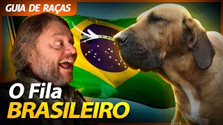 Miniatura do vídeo
