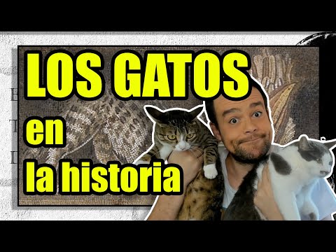 GATOS en Egipto, Roma y Edad Media. Con @Grecorromanohistoriaytotalwar y Marco Almansa