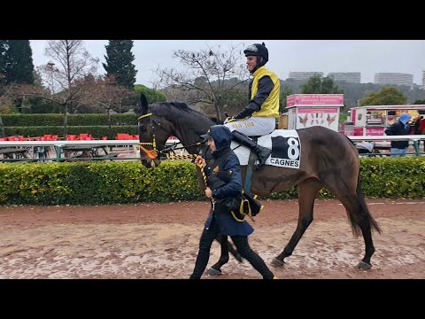 EQUOS MONDO GALOPPO – puntata 26