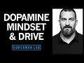 Controlling Your Dopamine For Motivation Focus Satisfaction