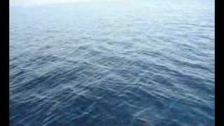 Truth is Marching In