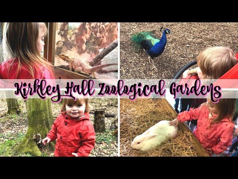 KIRKLEY HALL ZOOLOGICAL GARDENS | FAMILY DAY OUT | THE PERKS OF BEING A MOTHER