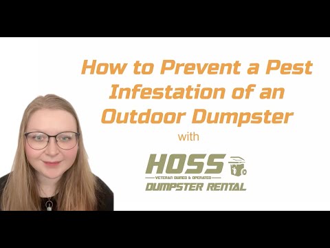 How to Prevent a Pest Infestation of an Outdoor Dumpster