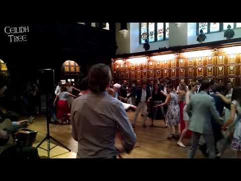 Ceilidh Tree Irish Music - Wedding Music in France