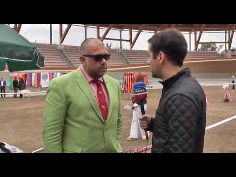 ArmComedy 272 - Հղի ժուլիկները