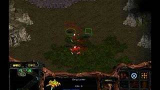 The Essentials 02: Hold Lurkers