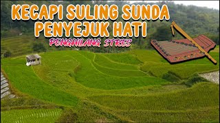 Download lagu Kecapi Suling Sunda Paling Merdu Penyejuk Hati Penghilang Stres,Dengan Pemandangan Sawah Indah #2 mp3
