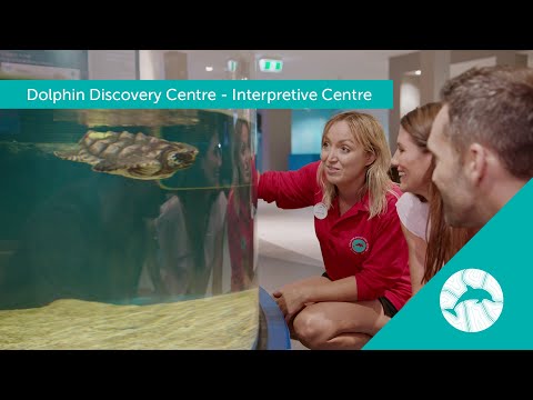 Dolphin Discovery Centre Bunbury