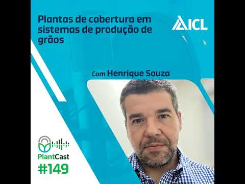 Plantcast #149 Plantas de cobertura em sistemas de produção de grãos