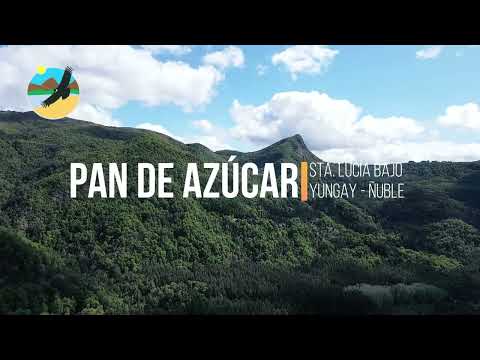 PAN DE AZÚCAR, SANTA LÚCIA BAJO, YUNGAY - ÑUBLE