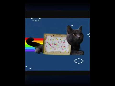 Nyan cat