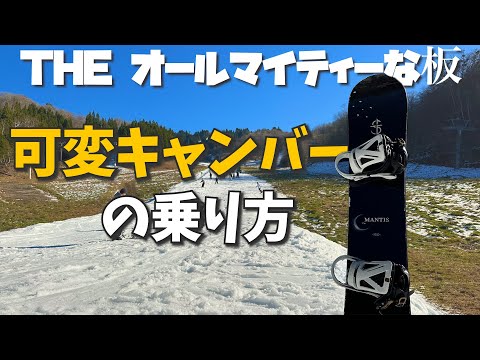 フリノマンティスについて詳しく解説