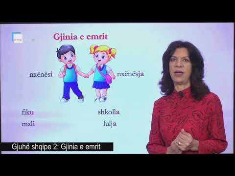 Gjuhë shqipe 2 - Gjinia e emrit