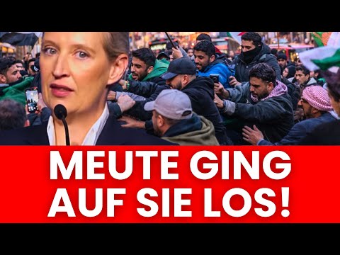 Alice Weidel suddenly experiences something unbelievable! - This action was too much for the AfD!