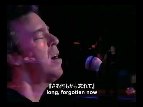 We're all alone（日本語字幕） のサムネイル